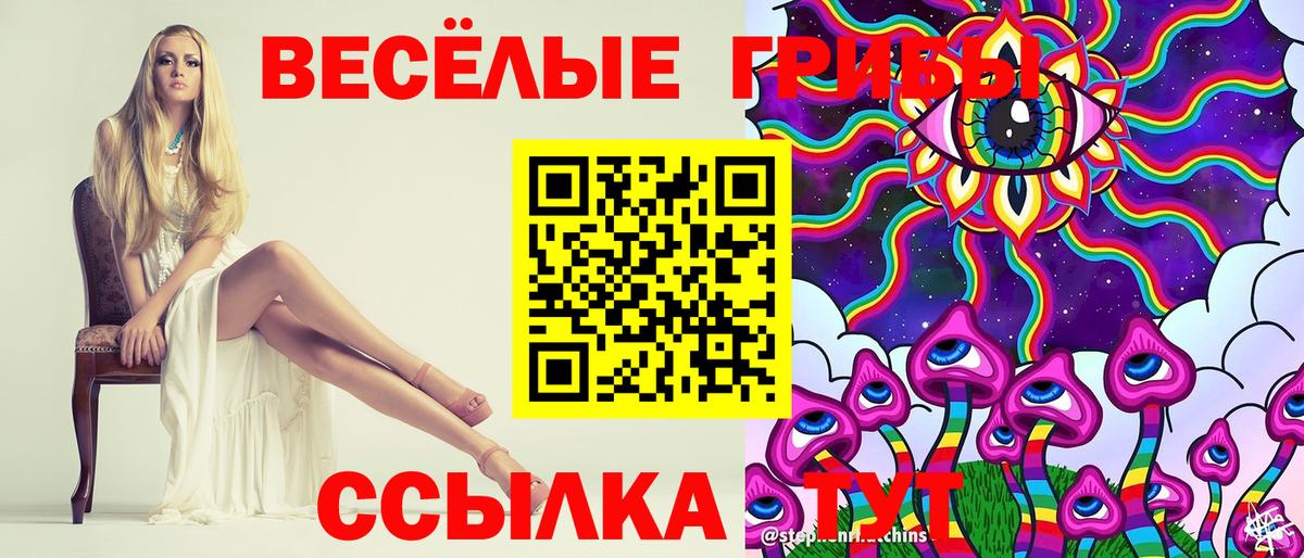 Псилоцибиновые грибы Psilocybe Кунгур