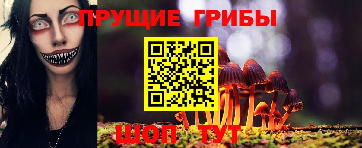 Кунгур  Галлюциногенные грибы MAGIC MUSHROOMS  где купить   Галлюциногенные грибы GOLDEN TEACHER  Вход с VPN 